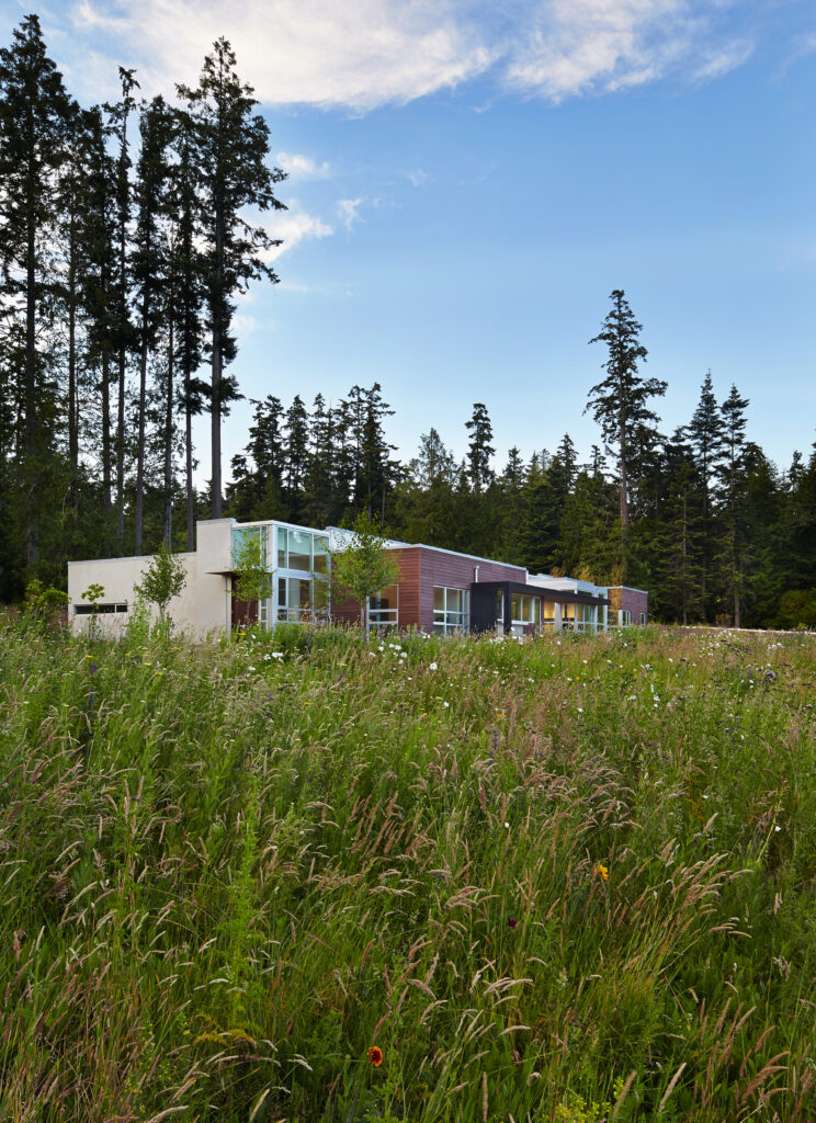A modern, flat-roofed building with large windows sits behind a meadow of tall grass and wildflowers, surrounded by tall evergreen trees under a blue sky with scattered clouds.